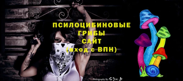 сатива Магадан